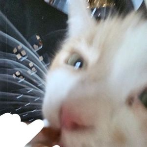 Meet your Posher, Aida